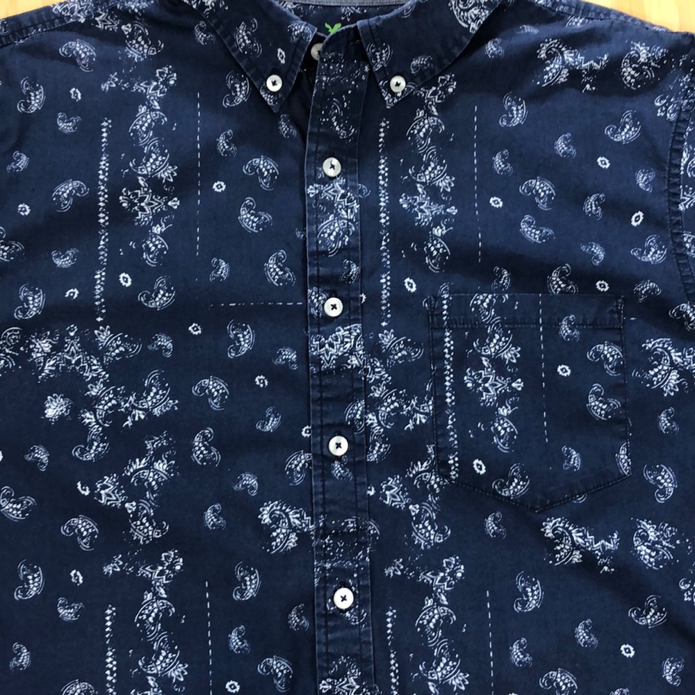 American Eagle Button Down Shirt Size Large EUC - Picture 3 of 8